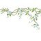 Flower Vine Wall Stencil | 2178 by Designer Stencils | Reusable Art Craft Stencils for Painting on Walls, Canvas, Wood |